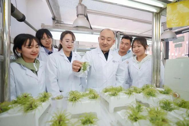 enAI将在下周发布GPT-41特斯拉副总裁回应「电动车辐射高」传闻pg电子模拟器免费版苹果从印度空运600吨iPhone回美国曝Op(图15)